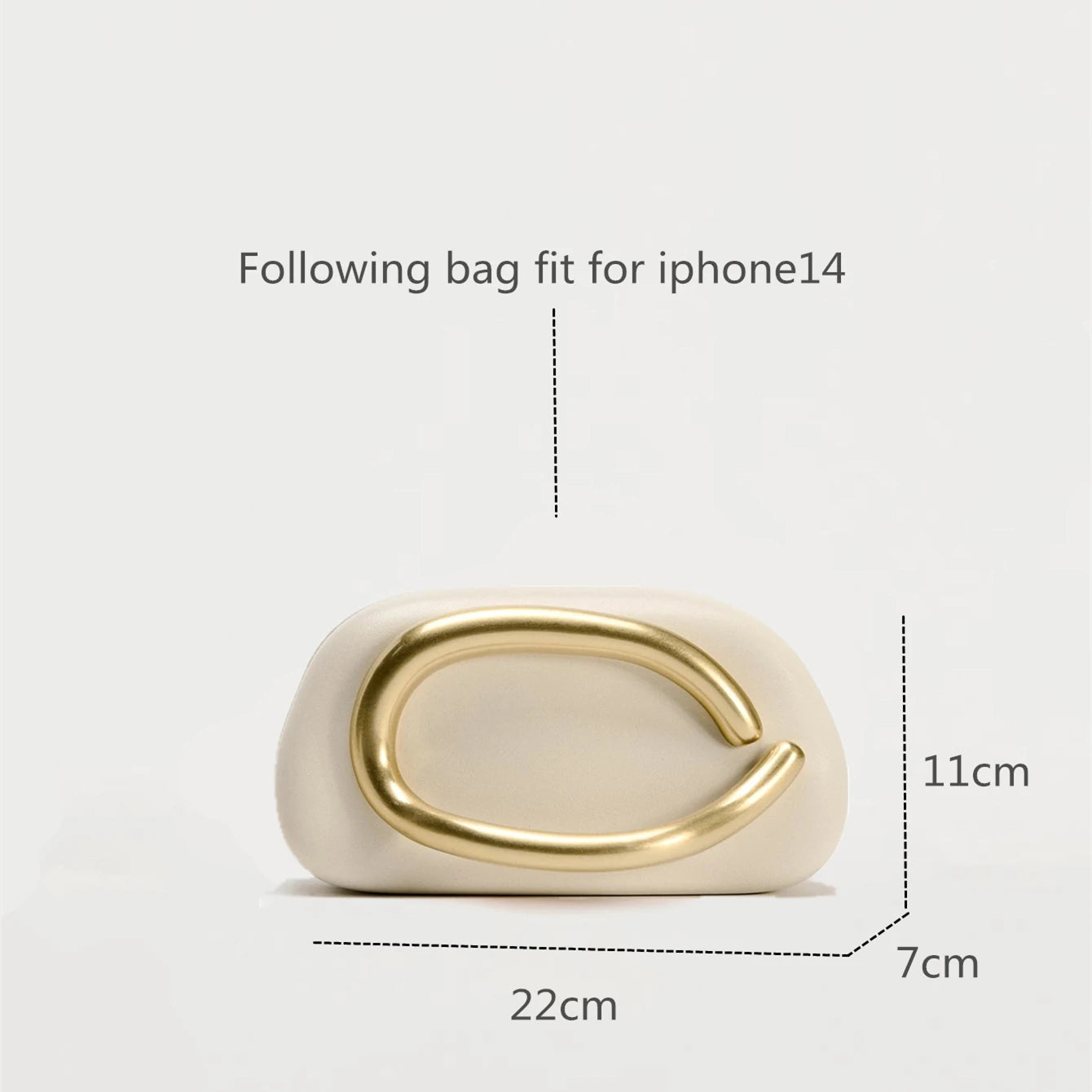 Gold metal Box Clutch Bag